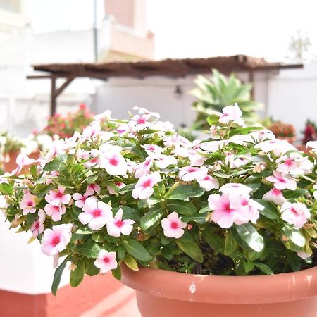 Apartamentos Veedor Cadiz Luaran gambar