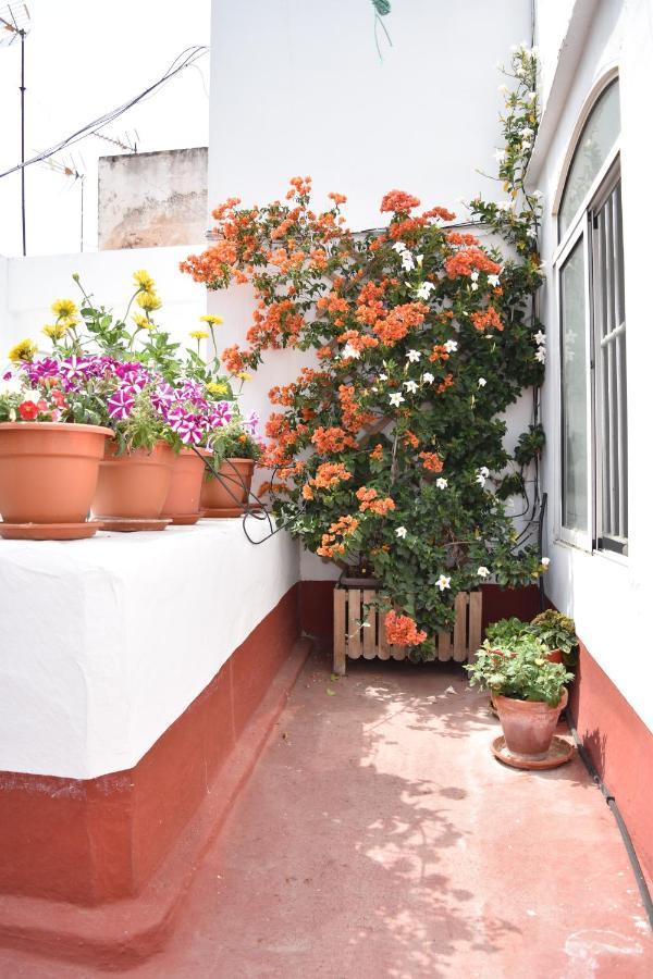 Apartamentos Veedor Cadiz Luaran gambar